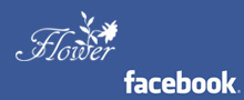 FlowerFacebook